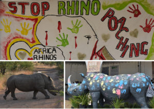 Stop Rhino Poaching!