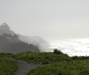 Monterey Bay, CA coastline shrouded in fog.